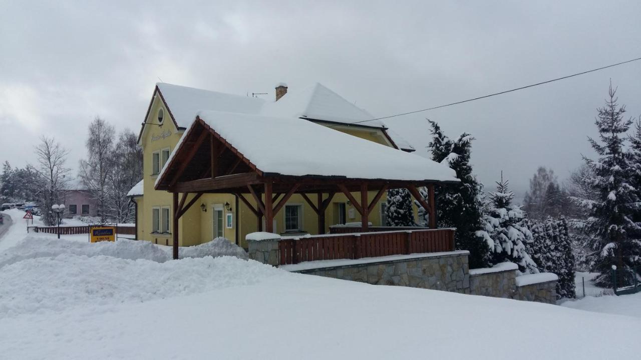 Penzion Rozalie Horní Planá Bagian luar foto